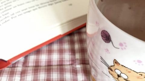 Taza reconfortante de chocolate