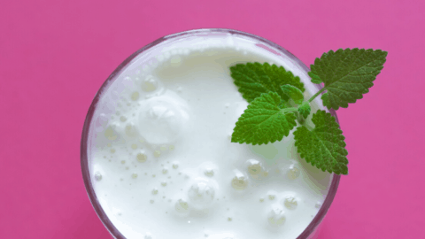 Ayran casero