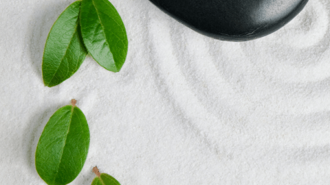 Jardín zen de arena con piedra negra